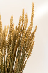 Grano