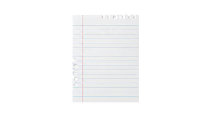 A single sheet of lined paper with a red margin, torn from a notebook, isolated on a white background.