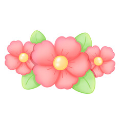 pink frangipani flower