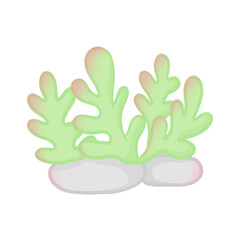 green coral