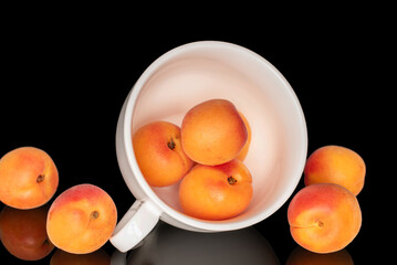 Ripe organic apricots isolated on black background, macro.