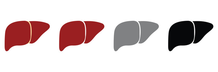 Human Liver Icon Set &ndash; Medical Anatomy Organ Vector Illustration for Healthcare and Anatomy Design