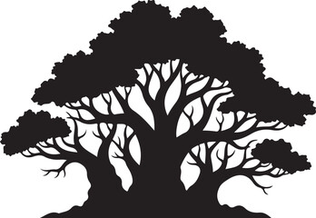 Silhouette of a large, sprawling baobab tree africa