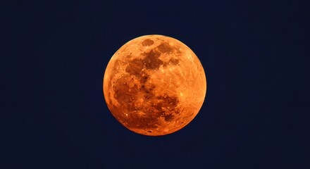 Naklejka premium A vibrant orange full moon hangs prominently in the deep blue night sky showcasing its detailed surface and craters