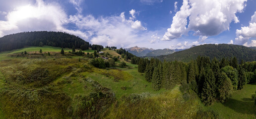 Super wide angle aerial panorama of mountain slope with green meadows and pine tree divide with cloud obscuring half of the scenery. Picturesque colorful high altitude weather condition concept.