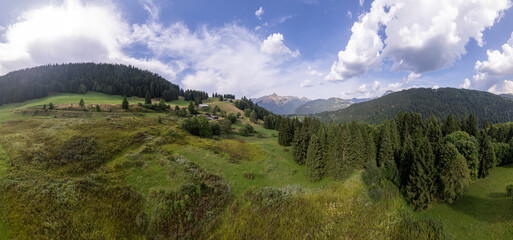 Super wide angle aerial panorama of mountain slope with green meadows and pine tree divide with cloud obscuring half of the scenery. Picturesque colorful high altitude weather condition concept.