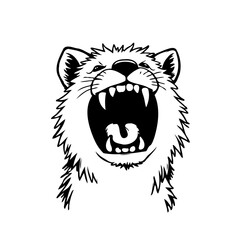 Angry snarling wildcat monochrome illustration displaying menacing teeth isolated on clean white