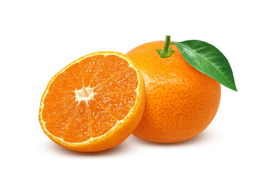 みかんのイラスト リアル ミカン