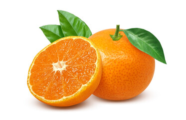 みかんのイラスト リアル ミカン