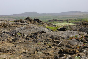 Obraz premium A wide view of a volcanic lava field in Iceland, with sharp rocks, sparse vegetation, and misty hills in the background. The barren volcanic terrain contrasts with small bursts of greenery.