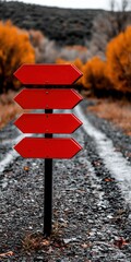 Directional signpost on a gravel path surrounded by autumn trees