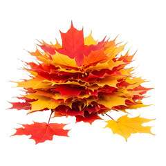 Pile of Autumn Maple Leaves in Vibrant Red and Orange Colors.