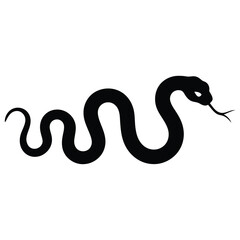 black and white snake