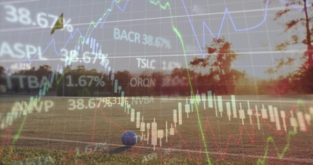 Obraz premium Financial candlestick bars and line graphs overlaying grass field at dawn, with small blue ball