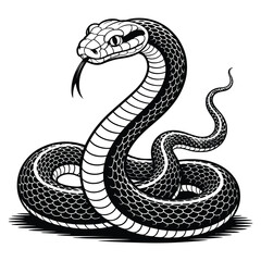 black and white snake