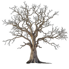 Obraz premium Isolated dead tree cutout on transparent background png dead tree silhouette png tree without leaves png barren tree png isolated barren tree png dry tree cutout png tree trunk png