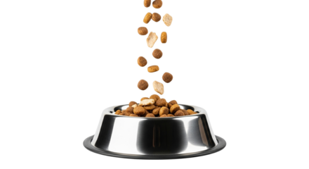 Pet Food Pouring: A vibrant image of dry pet food cascading into a polished stainless steel bowl, capturing the essence of mealtime for your beloved animal companions. 