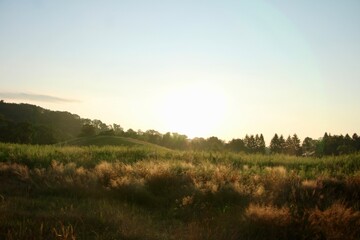 Sunrise over the meadow 