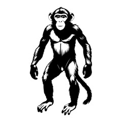 Fototapeta premium Powerful vector graphics of monkeys, perfect for wildlife conservation, environmental awareness, and educational graphics.