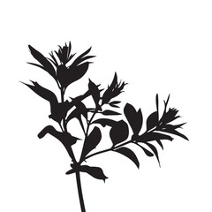 Monochrome Plant Vector
