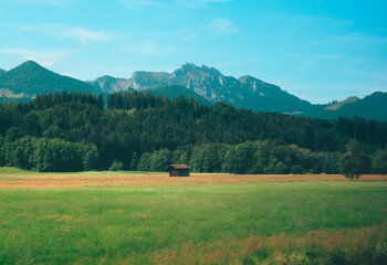 Wooden Cabin in Green Field with Mountain View from Train