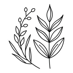 Minimalist black and white line drawing of two botanical branches
