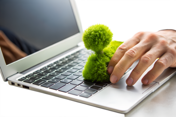 Green plant on laptop keyboard isolated on white background