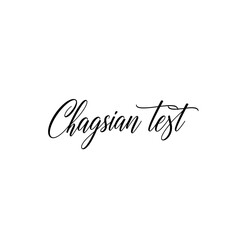 Elegant Chagsian Test Calligraphy in Black Ink