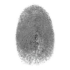 Generic fingerprint ridge pattern with central whorl and evenly spaced ridges, macro detail, isolated on transparent background.
