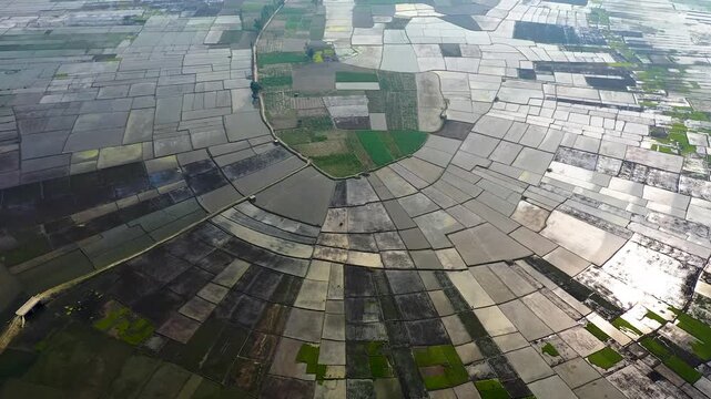 Bogura, Bangladesh - 22 August 2025: Aerial view of the patterned agricultural fields, reflecting the sky, create a mosaic of contrasting textures and tones.