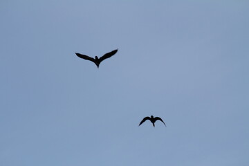 gemeinsam am Himmel