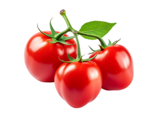  three ripe red tomatoes on a vine, isolated on transparent background