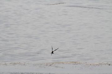 Flug über den Fjord