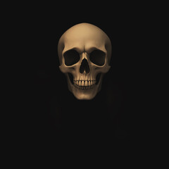 scull on black background. death symbol. Halloween concept