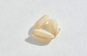Close up of three uncooked white rice grains on bright white background with soft shadows.