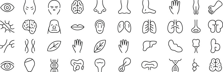 Human anatomy and organs line icons set, body parts, medical symbols, healthcare illustrations, DNA, brain, lungs, heart collection