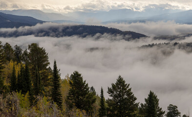 Scneic Autumn Landscape in Grand Teton National Park Wyoming