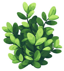 Fototapeta premium PNG Bush illustration plant green.