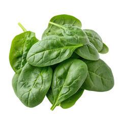 Obraz premium Fresh green spinach leaves isolated on a white transparent background