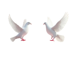 Fototapeta premium 3D Empty Podium Valentines Day Doves - Pink background, 3D , empty cylinder podium 