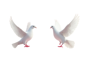 3D Empty Podium Valentines Day Doves - Pink background, 3D , empty cylinder podium 