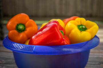 Fresh colorful bell peppers in blue bowl on wooden table