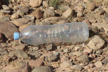 A plastic bottle lying on the ground, Plastic pollution, Plastic environmental impact