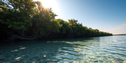 Sunlight streams through lush green trees lining a calm turquoise water bay