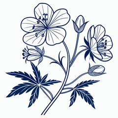 floral background with cranesbill hardy geranium blue