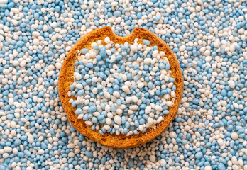 Beschuit met muisjes, traditional Dutch treat consisting of blue and white sugared anise seeds on a rusk eaten to celebrate the birth of a baby boy