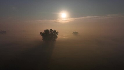 Bogura, Bangladesh - 21 August 2025: Aerial view of trees shrouded in a mysterious fog, the sun glows in the sky providing a hazy, ethereal tone.