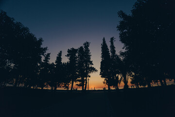 Sunset silhouette of tall trees against a colorful evening sky with deep blue and orange hues...