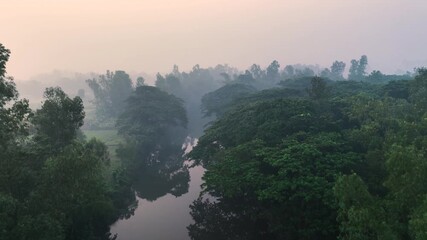 Bogura, Bangladesh - 21 August 2025: Aerial view of dense green trees line a river, creating a tranquil scene under a hazy sky, a mix of light and shadow.