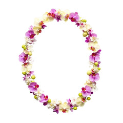 Naklejka premium Oval orchid flower garland isolated on transparent background